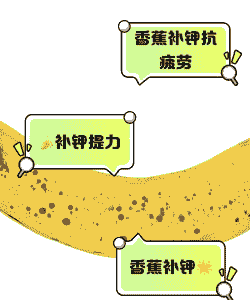 香蕉对钾素养分需求量与株型有关