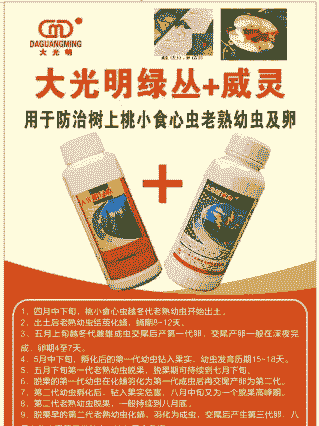 桃小食心虫防治方法