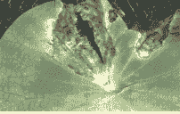 荷花斑枯病的症状及防治