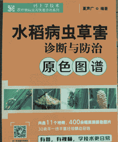 水稻病虫害防治