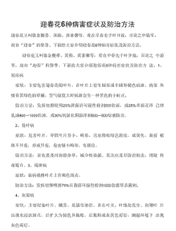 迎春花黑霉病的发生及防治方法