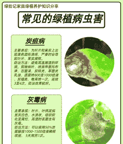 七种常见病虫防治方法 （一）