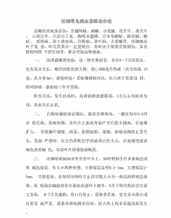 法桐病虫害防治济宁龙德法桐