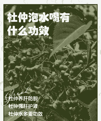 杜仲常见病害的防治方法