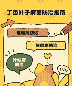 丁香叶枯病的发生及防治