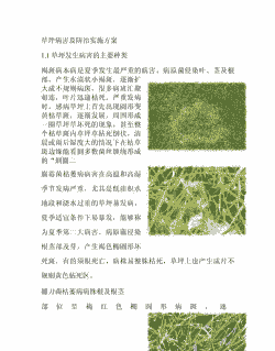 草坪雪霉叶枯病的防治措施