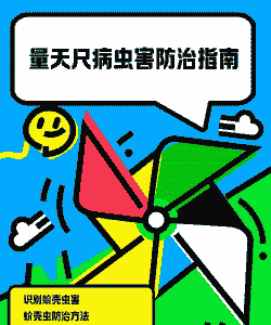 量天尺的病害防治方法