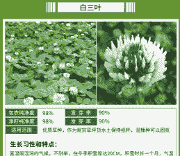 三叶草菌核病防治方法