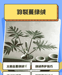 羽裂蔓绿绒病虫害防治