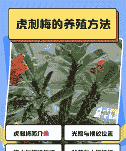 花卉如何严防瘿瘤