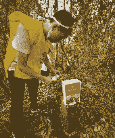 园林苗木病虫害的防治