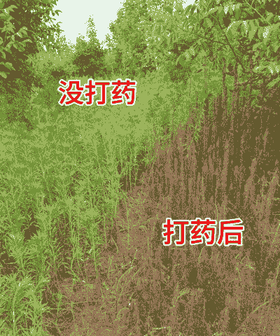 化学除草剂是不是比人工砍草抚育效果好