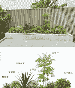 如何配置设计植物景观