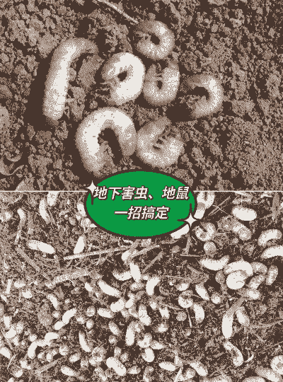 几种地下害虫的综合防治