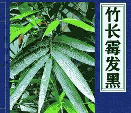 棕竹盾壳霉叶斑病防治