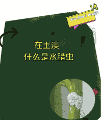 甲虫与水腊虫的防治方法