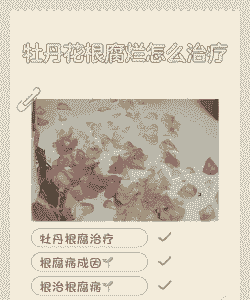 牡丹根腐病的防治方法