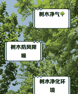 大树“补水”用巧招