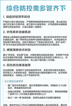 榆树枯萎病症状及防治方法