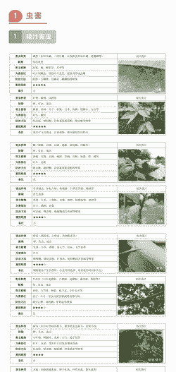 园林植物病虫害综合治理策略 园林植物病虫害综合治理策略