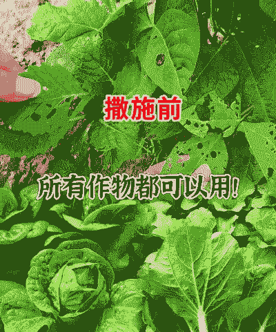 用菜制药防治虫害 用菜制药防治虫害