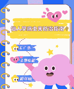 仙人掌病虫害防治 仙人掌病虫害防治