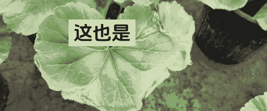 凤梨灰霉病 凤梨灰霉病