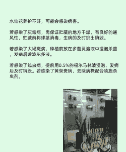 水仙褐斑病的防治方法 水仙褐斑病的防治方法