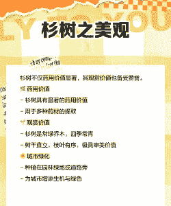 杉木叶枯病的防治 杉木叶枯病的防治