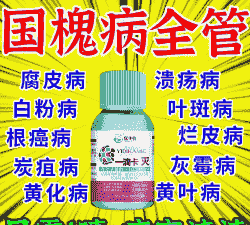 槐树烂皮病是怎么发生的如何防治 槐树烂皮病是怎么发生的如何防治