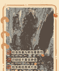 苗木树干病虫害防治 苗木树干病虫害防治