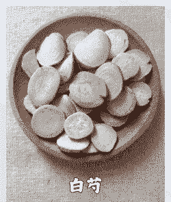 芍药白纹羽病的防治 芍药白纹羽病的防治