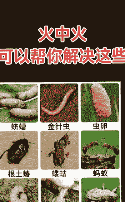 地下害虫的危害种类与防治 地下害虫的危害种类与防治