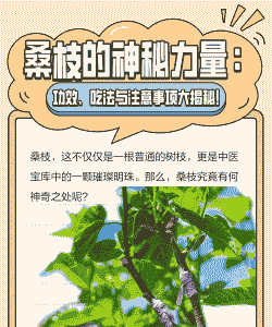 桑树断枝病的防治技术 桑树断枝病的防治技术