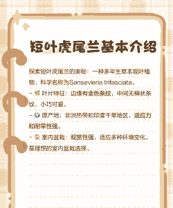 虎尾兰根腐病的危害及防治方法 虎尾兰根腐病的危害及防治方法