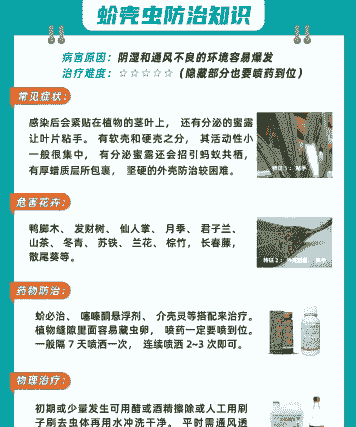 防治苗木害虫方法 防治苗木害虫方法