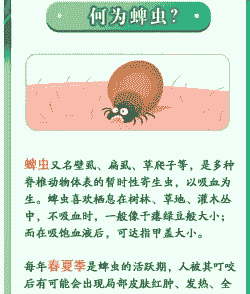 抓紧做好一虫两病的防治工作 抓紧做好一虫两病的防治工作