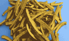 黄柏、黄皮树褐斑病的防治方法 黄柏、黄皮树褐斑病的防治方法