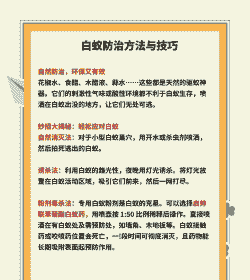 对付白蚁有新招 对付白蚁有新招