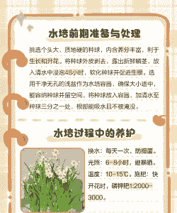 水仙工茎线虫病防治 水仙工茎线虫病防治