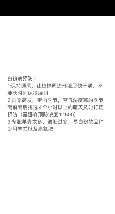 胶东卫矛白粉病的症状和防治措施 胶东卫矛白粉病的症状和防治措施