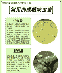 七种常见病虫防治 (上) 七种常见病虫防治 (上)