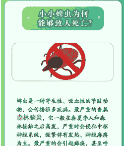 抓紧做好一虫两病的防治工作 抓紧做好一虫两病的防治工作