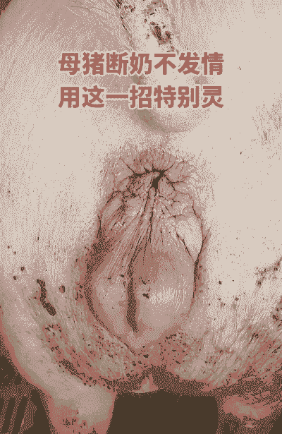 母猪产后出气快