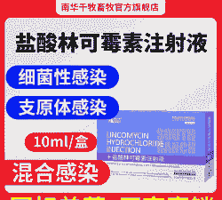 母猪产后消炎 打针