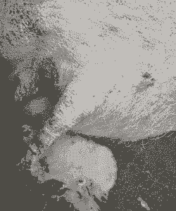 母猪产后流白色分泌物