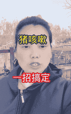 母猪产后咳嗽怎么治疗