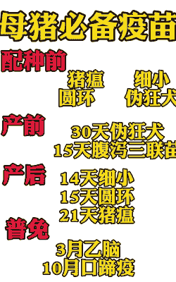 母猪产后要打什么针