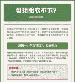 母猪产后胎衣不下怎么办