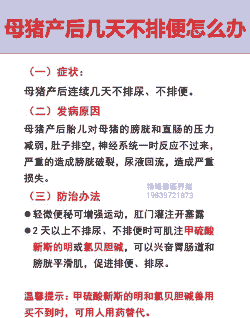 母猪产后不拉屎咋办